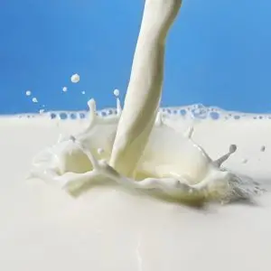 Dairy & Milk