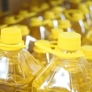 Oils