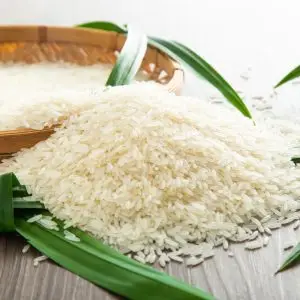Rice